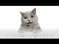 Александр Пушкин - Я помню чудное мгновенье 