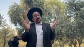 בר-מצווה לבן הרב || ימים חמים של התחזקות באמונה ולימוד תורה | הרב אליהו ובר (ישיבת הר הבית) - התמונה מוצגת ישירות מתוך אתר האינטרנט יוטיוב. זכויות היוצרים בתמונה שייכות ליוצרה. קישור קרדיט למקור התוכן נמצא בתוך דף הסרטון