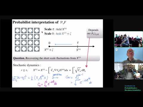 SPMES: A renormalisation group perspective on functional inequalities - Thierry Bodineau
