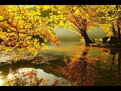 Klaas Jan Mulder - Psalm 42  - Synthesizer