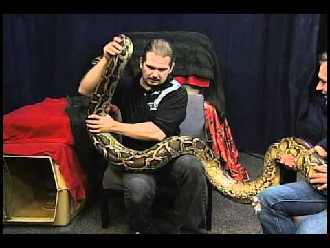 Promotional video thumbnail 3 for Snakes-N-Scales