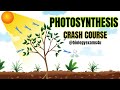 Photosynthesis Crash Course in 45 Minutes 🌱☀️|| Plant Physiology @biologyexams4u