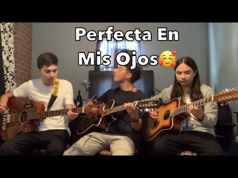 Perfecta En Mis Ojos - Angel Perez (cover)