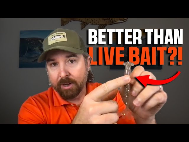 Vídeo relacionado con Demeras Shrimp Lure Squid Jigs Señuelo de Pesca Realista Luminous Shrimp Baits para Pesca de Agua Dulce