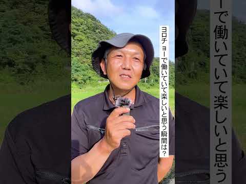 【社員インタビュー】ヨロチョーファーム