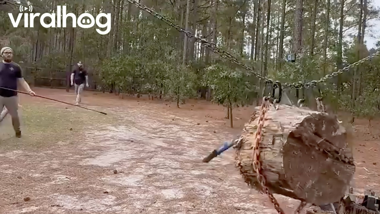 Axe Lands Perfectly With a Deep Thump || ViralHog