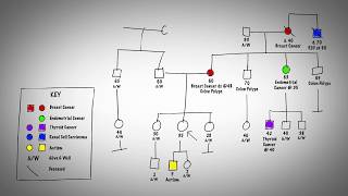 How To Draw Your Family History Pedigree