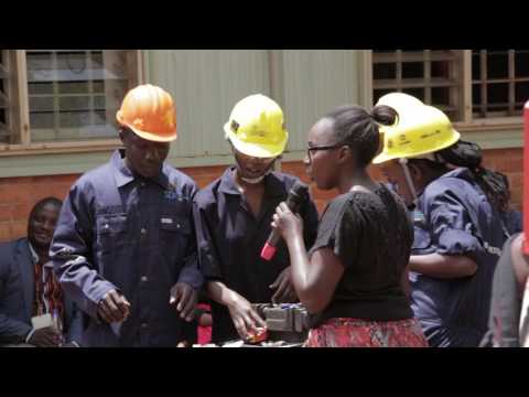 The role of the private sector in skills development The role of the private sector in skills development