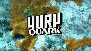 YURY Quark ep.1 - Le spugne