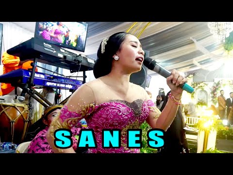 KOPLO SANES VOC. AMEL SIMILIKITI CAMPURSARI CAS