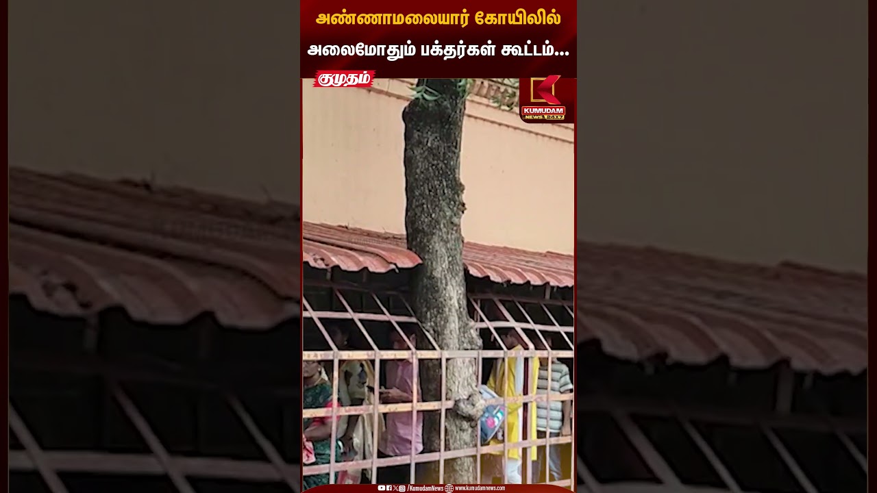 Temple Rush | Devotees Crowd | அண்ணாமலையார் கோயிலில் அலைமோதும் பக்தர்கள் கூட்டம்... | Kumudam News