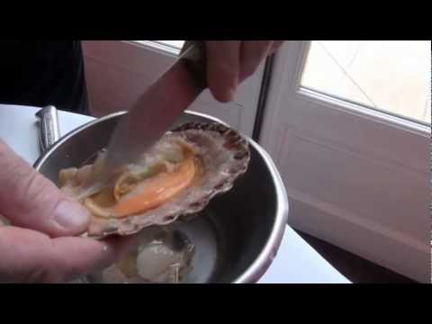 comment ouvrir et nettoyer des coquilles saint jacques