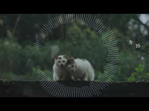 Баста feat. Zivert - Не болей (Coswick remix)