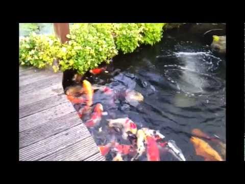 Watch Video on YouTube