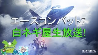 （エースコンバット7）飛ばねぇ○○は何とかだ！