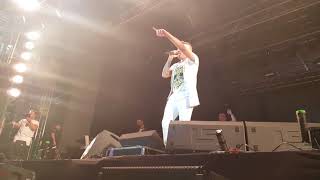 A Mala é Falsa - Amor da Sua Cama / Felipe Araújo - Reveillon Cuiabá 2018