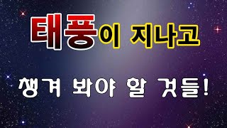 [텃밭농부. 1,188]  태풍이 지나고 챙겨야 할 일들.