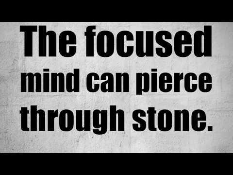 Palm Beach Physique video.