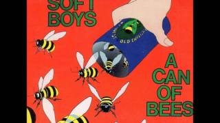 THE SOFT BOYS   Cold Turkey