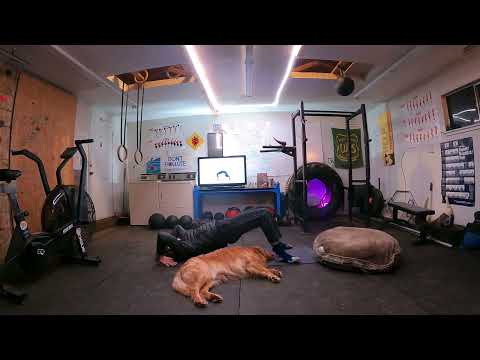 Yoga with Odin 20 min full body stretch