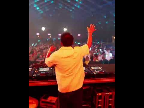 Dj Audiowave The Hive Werchter 2025