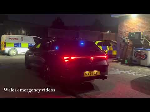 **siren inside car!** gwent polices unmarked cupra facelift demonstrating bluelights