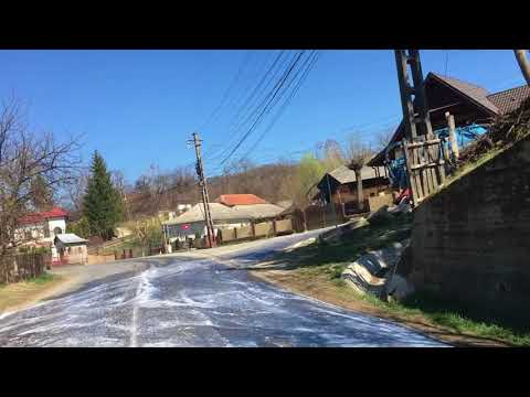 Servicii Edilitare Mioveni