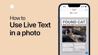 How to use Live Text in a photo on iPhone and iPad | Apple Support
