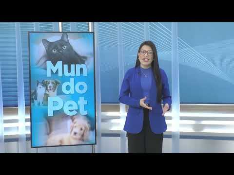CNT Notícias RJ de 22/09/2026 na Íntegra