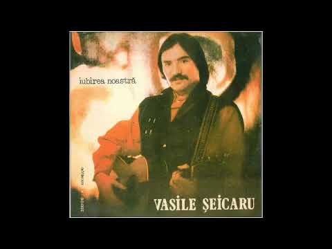 Vasile Șeicaru - Ziua