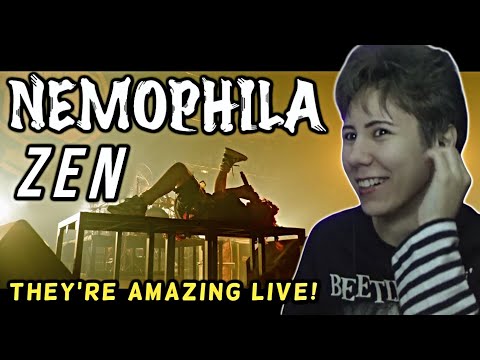 Nemophila - Zen (Live) | Reaction