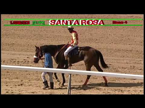 Arima Race Club - Day 9 August 01st 2023 Race-4