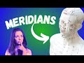 CHANNEL Theory In Acupuncture Meridian Theory