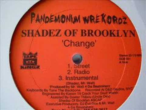 shadez of brooklyn - change (instrumental)