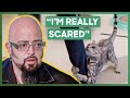 Jackson Treats A Cat That Keeps Attacking Her Owner Every Night My Cat From Hell