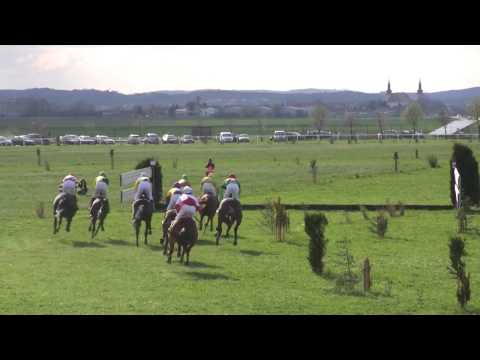 BR, 18. 4. 2015, 6. dostih - Jarní brněnská stch-Pohár hejtmana JM kraje VII.ročník