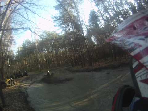 2011 11 11 Misiek przelatuje nad kałużą