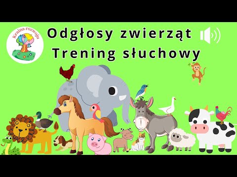 Trening słuchowy - odgłosy, dźwięki zwierząt domowych i egzotycznych