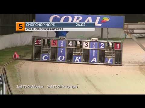 2019 CORAL GOLDEN SPRINT - HEAT 4 - T5 CHOPCHOP HOPE