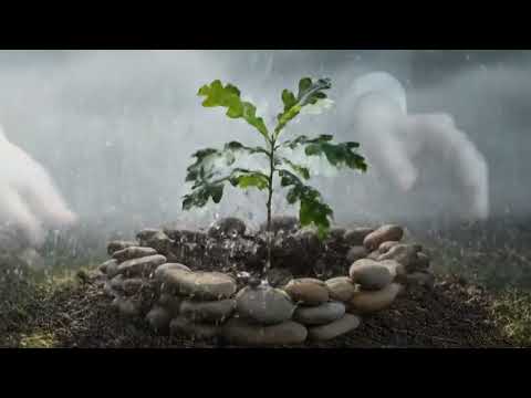 Kako osigurati održivost i uspeh organizacije | Vodič za lidere