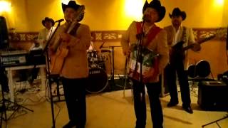 Los Viejones De Linares EL DESQUITE