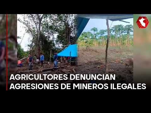 MINERÍA ILEGAL y violencia en Puerto Inca: Agricultores denuncian AGRESIONES de mineros ilegales