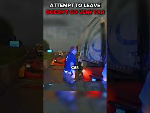 Unexpected Event After Lady Leaves Traffic Stop