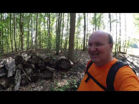 MongoTV_3319 - Danish Vlog - Lille Skovtur