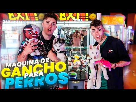 CONSIGUIENDO REGALOS PARA MI CACHORRO EN MAQUINAS DE GANCHO ** REGALOS PARA MI HUSKY** [Salva]