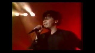 Indochine "Tour 88" - Les Tzars / (1988)