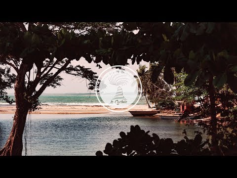 Johnny Gomez & His Orchestra - Madame Sandrine