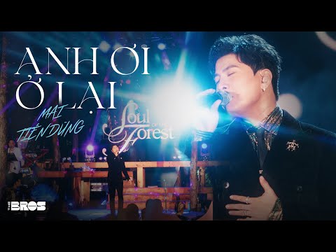 ANH ƠI Ở LẠI - Mai Tiến Dũng live at #souloftheforest