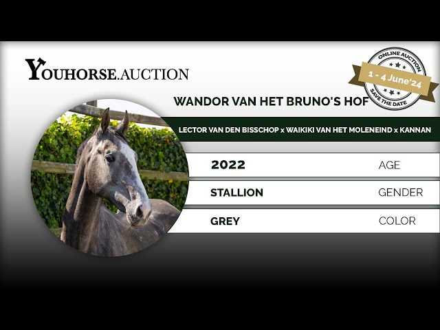 Wandor van het Bruno's Hof