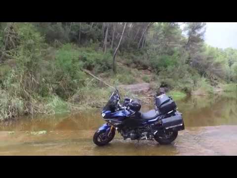 Lifestyle Video